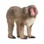 Figur Schleich WILD LIFE Japanmakak Beige Braun Pink 14871