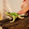 schleich WILD LIFE Europäischer Laubfrosch, 3 Jahr(e), Wald, Wildtiere/Abenteuerspielzeug, Mehrfarbig