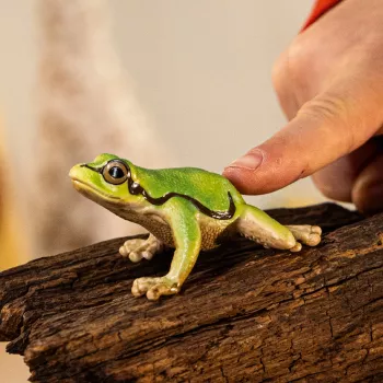 schleich WILD LIFE Europäischer Laubfrosch, 3 Jahr(e), Wald, Wildtiere/Abenteuerspielzeug, Mehrfarbig