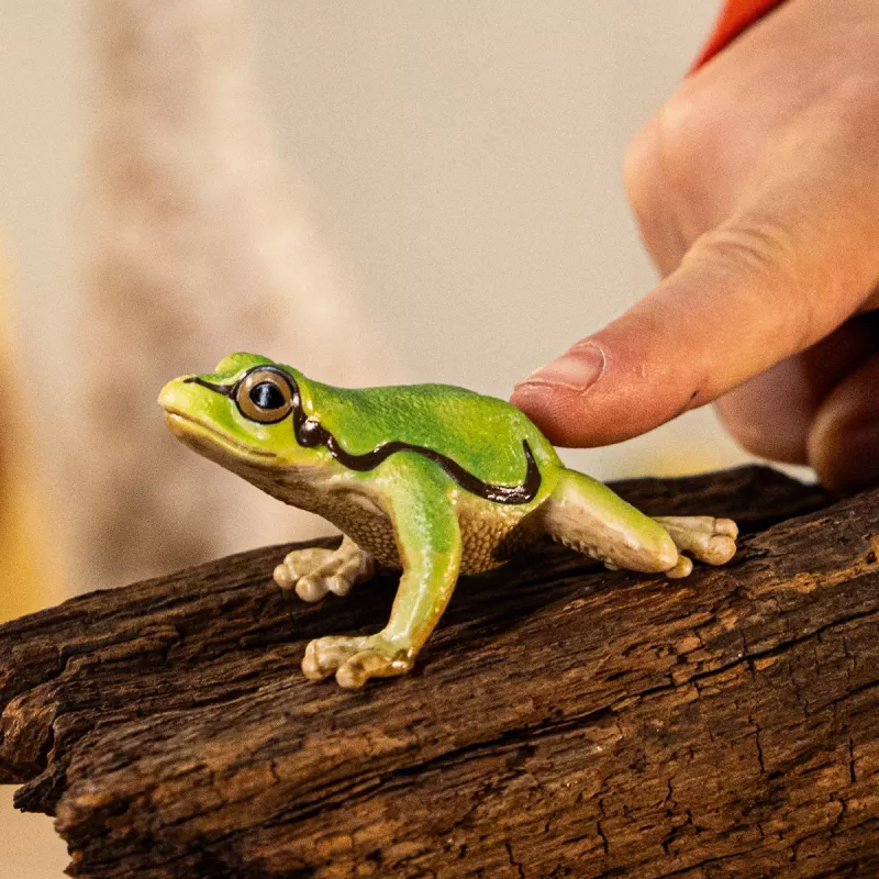 schleich WILD LIFE Europäischer Laubfrosch, 3 Jahr(e), Wald, Wildtiere/Abenteuerspielzeug, Mehrfarbig