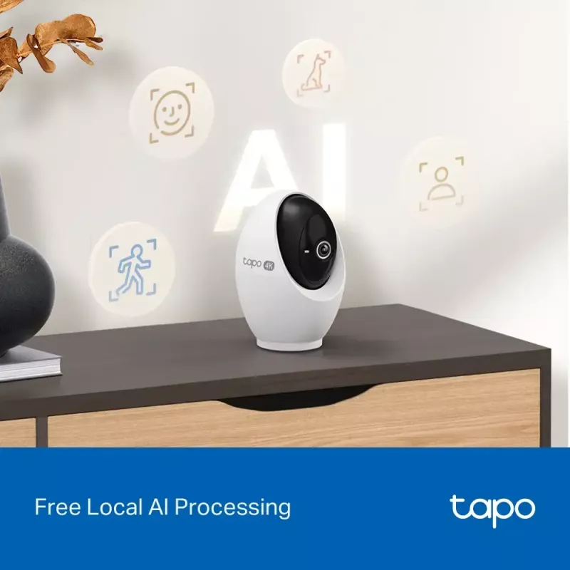 IP-Überwachungskamera TP-Link Tapo C260 3840 x 2160 Pixel