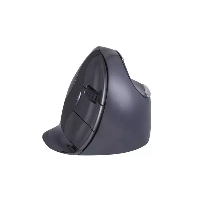 Maus BakkerElkhuizen Evoluent D RF Wireless