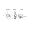 Maus BakkerElkhuizen Evoluent D RF Wireless