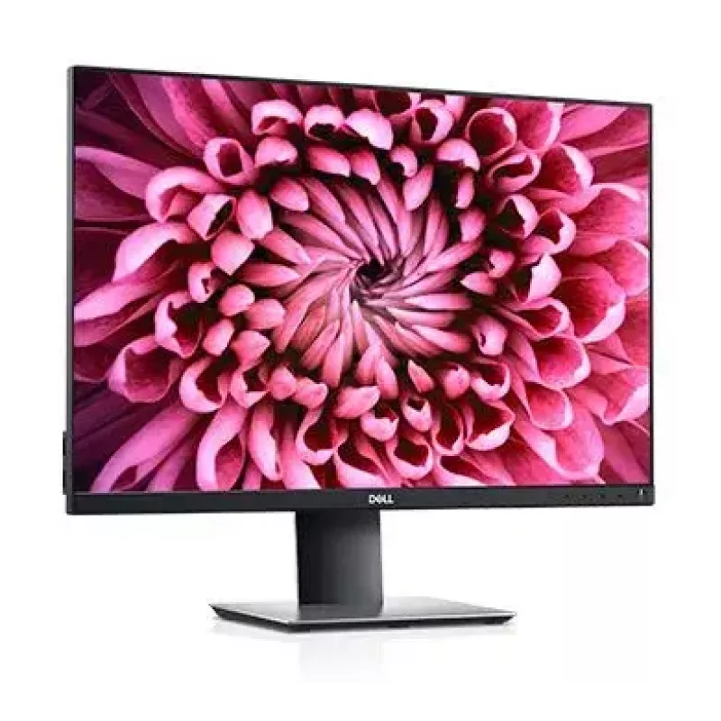 DELL P Series P2421 Computer-Monitor 61,2 cm (24,1 Zoll) 1920 x 1200 Pixel WUXGA LCD Schwarz