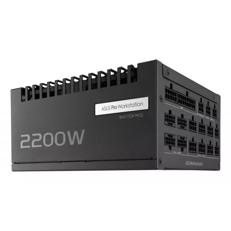 ASUS Pro WS 2200W Platinum Netzteil 20+4 pin ATX ATX Schwarz