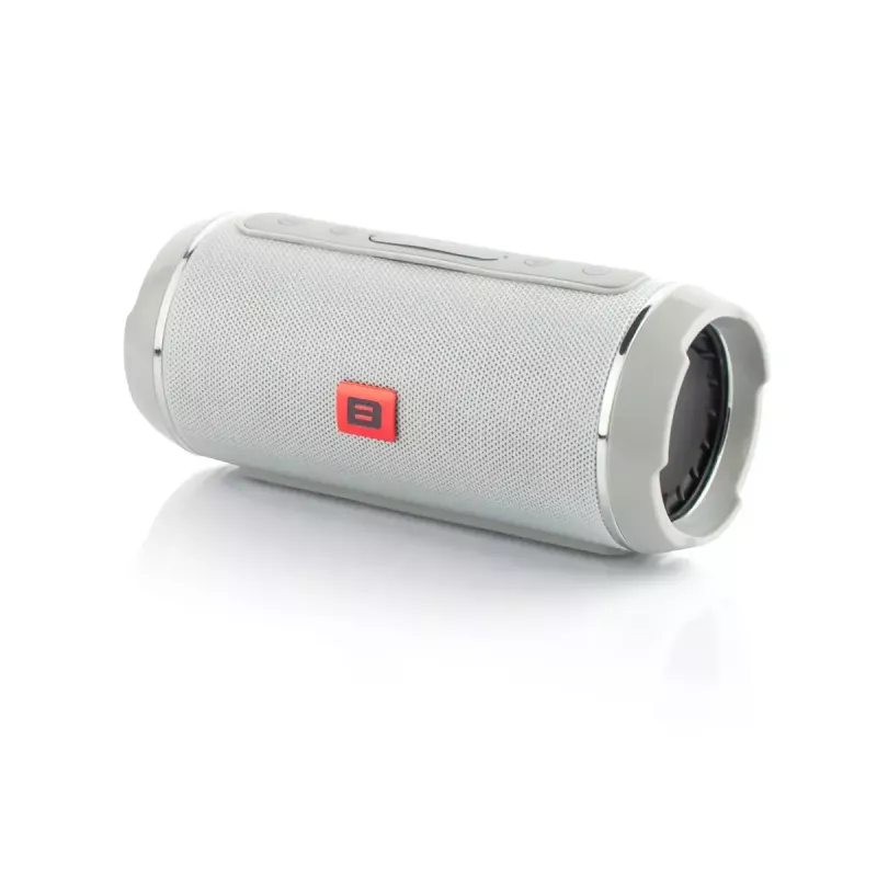 Mono tragbarer Lautsprecher BLOW BT-460 Grau — 5 W RMS, 2000 mAh Akku, Bluetooth 4.0, MicroSD, FM, AUX