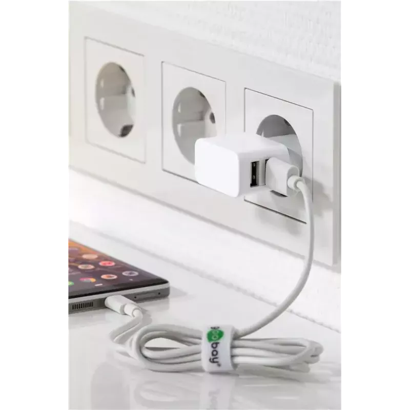 Ladegerät Indoor Wentronic 44979