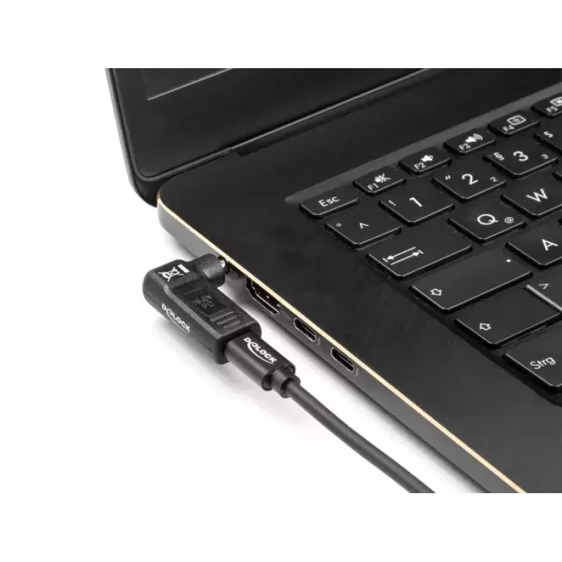 Laptop Power Tip DeLOCK 60011 USB-C auf 5,5 x 2,5 mm Adapter 19V 3A