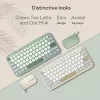 ASUS KW100 /GN/GE/81 Tastatur Home Bluetooth QWERTZ Deutsch Grün, Hellgrün