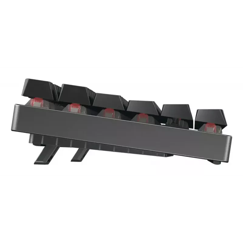 Mechanische Gaming-Tastatur CHERRY XTRFY Cherry MX 8.2 TKL Wireless — Tenkeyless, QWERTZ, USB + RF + Bluetooth, RGB, Schwarz