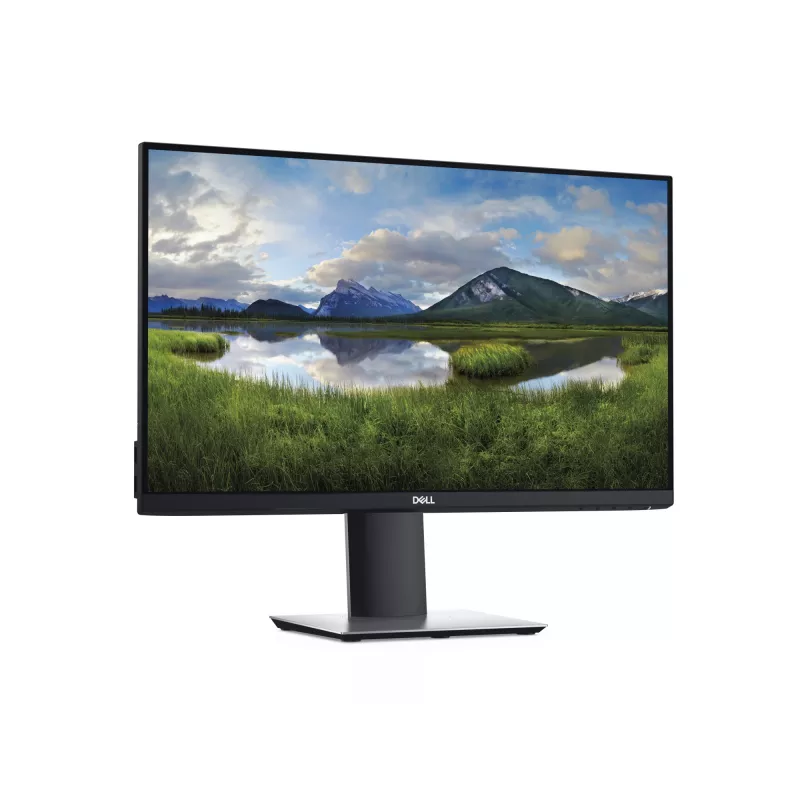 DELL P2419H Computermonitor 61 cm (24 Zoll) 1920 x 1080 Pixel Full HD LCD Schwarz