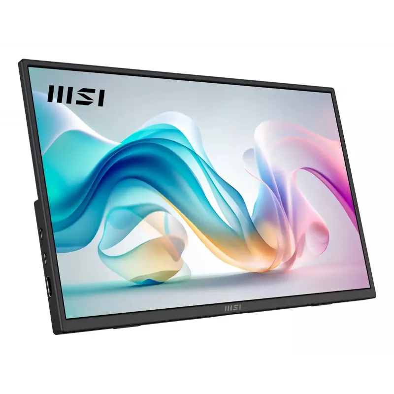 Portabler Monitor MSI PRO MP165DE E6 39,6 cm (15,6 Zoll) Full HD IPS 1920×1080 USB-C HDMI VESA Schwarz