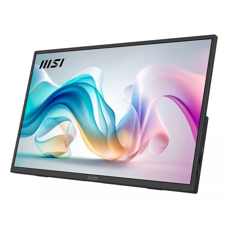 Portabler Monitor MSI PRO MP165DE E6 39,6 cm (15,6 Zoll) Full HD IPS 1920×1080 USB-C HDMI VESA Schwarz