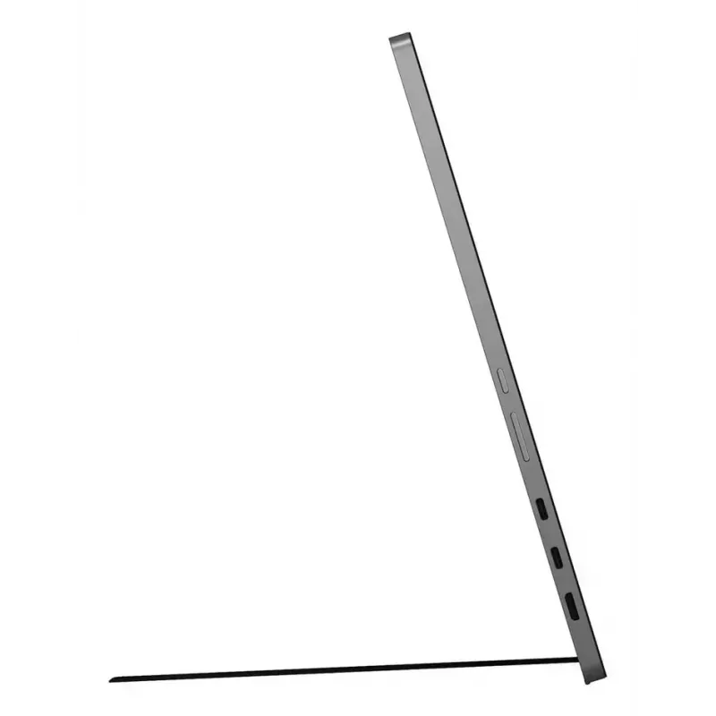 LG 17MT70 Tragbarer Monitor Schwarz, Edelstahl 43,2 cm (17 Zoll) LED 2560 x 1600 Pixel