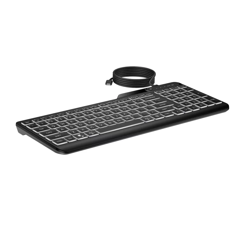 HP 400 Hintergrundbeleuchtete Kabelgebundene Tastatur Vollformat USB Schwarz