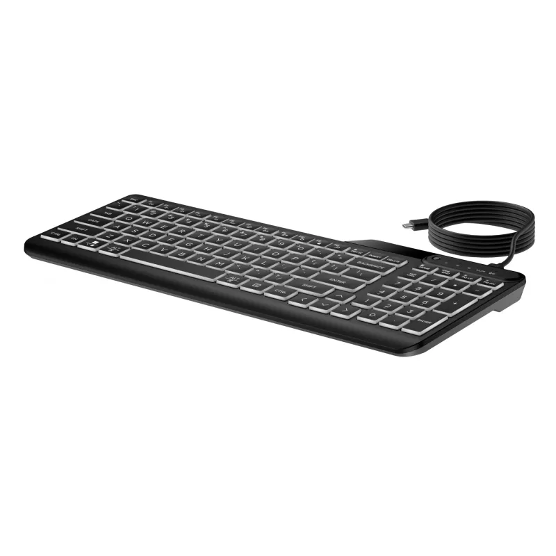 HP 400 Hintergrundbeleuchtete Kabelgebundene Tastatur Vollformat USB Schwarz