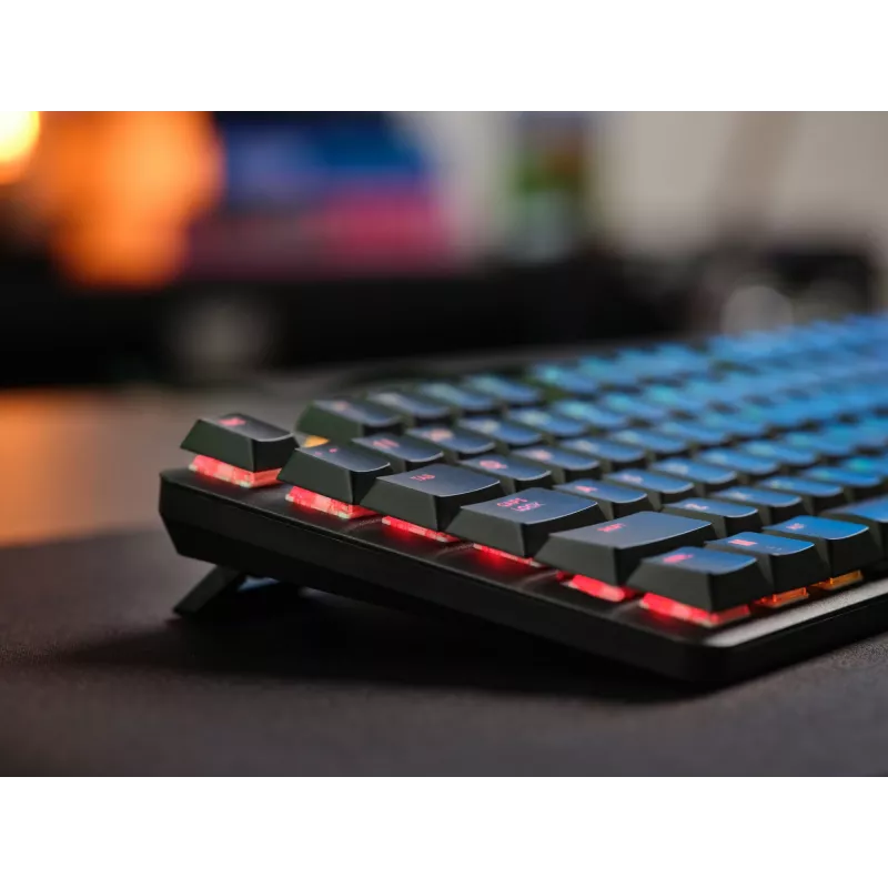 Mechanische Gaming-Tastatur TRUST GXT 866 TORIX USB Full-Size 104 Tasten QWERTY Schwarz RGB
