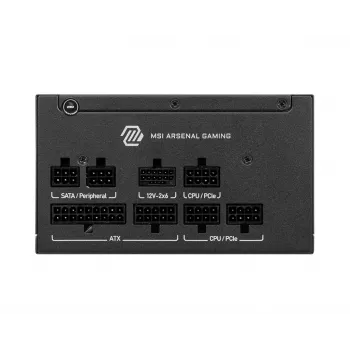 Netzteil MSI MAG A750GLS PCIE5 750W 24-Pin ATX vollmodular 80 PLUS Gold Schwarz