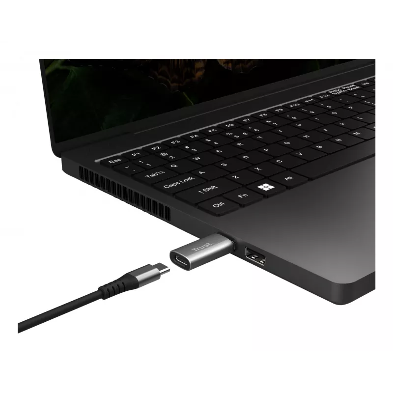 Trust Calyx USB Type-C USB Type-A Grau Anschluss 1 USB Type-C Anschluss 2 USB Type-A