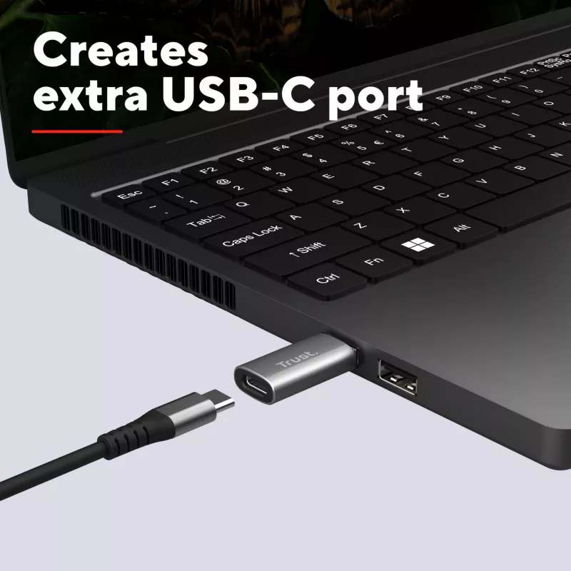 Trust Calyx USB Type-C USB Type-A Grau Anschluss 1 USB Type-C Anschluss 2 USB Type-A