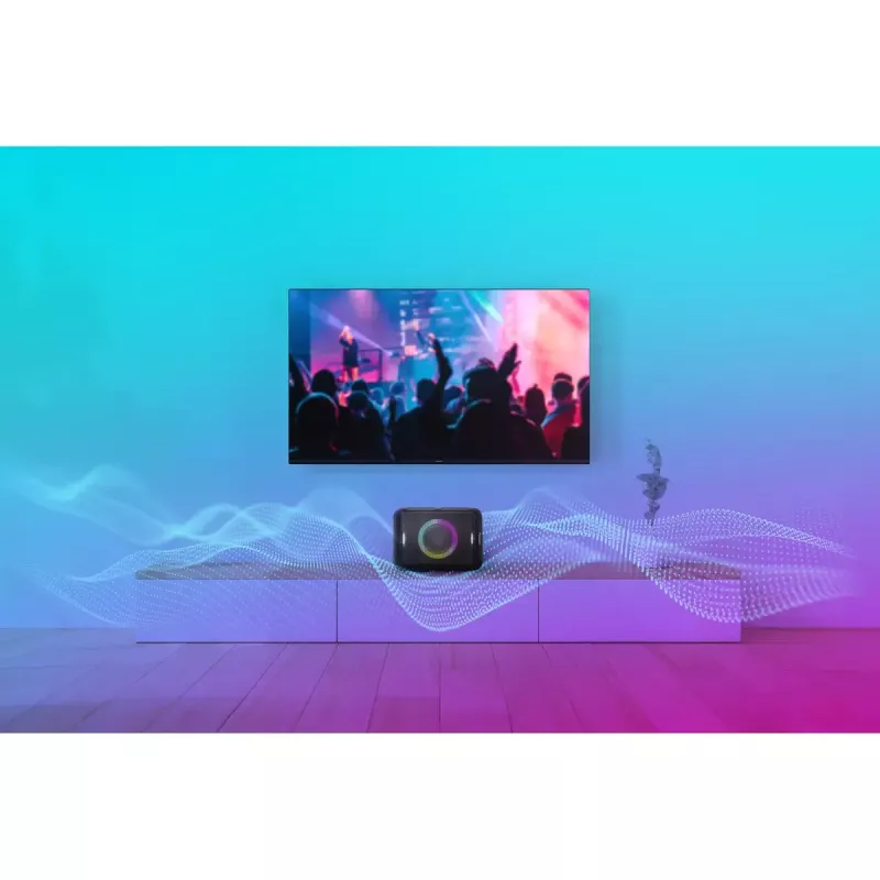 Tragbarer Stereo-Lautsprecher Panasonic SC-BMAX5E-K Schwarz