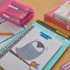DYMO LetraTag Beschriftungsband sortiert 3er-Pack