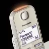 DECT-Telefon Panasonic KX-TGE262GN Kabelloses Handteil Anruferkennung