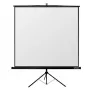 Tripod projection screen Reflecta CrystalLine 1:1