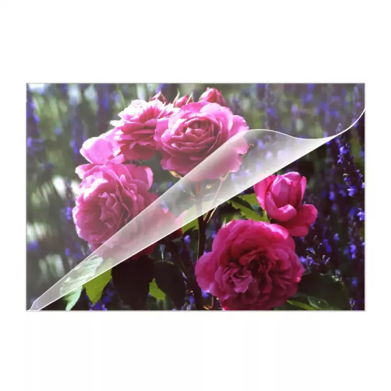 Laminierfolien Olympia 9165