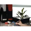 Büroklebeband TESA 56343-00036 Blau 2,75 m 38 mm