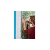 Moskitonetz für Fenster TESA Insect Stop 55388-00021-00