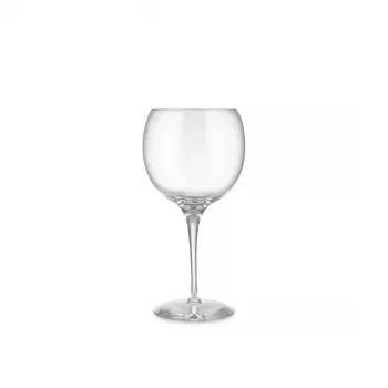 Weinglas Alessi SG119/0S4 elegantes Design kristallklar