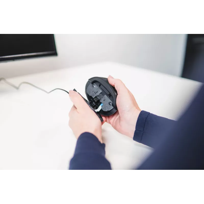 Wireless Mouse BakkerElkhuizen Oyster Mouse