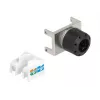 Keystone-Modul RJ45-Buchse auf LSA DeLOCK 87036