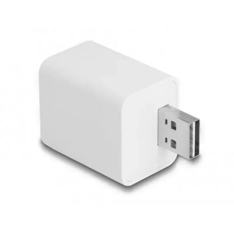 Smart-Steckdose DeLOCK 11828 Innenbereich Wi-Fi 2 A Weiß
