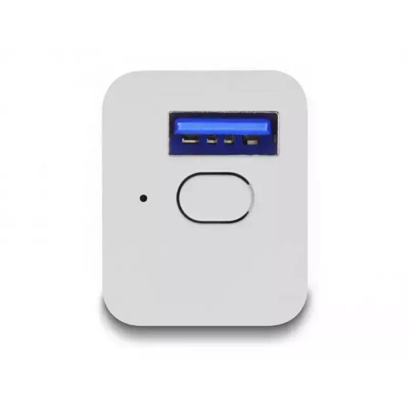 Smart-Steckdose DeLOCK 11828 Innenbereich Wi-Fi 2 A Weiß