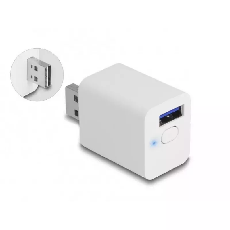 Smart-Steckdose DeLOCK 11828 Innenbereich Wi-Fi 2 A Weiß