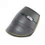 BakkerElkhuizen FastForward Maus, rechtshändig, vertikales Design, optisch, RF Wireless + Bluetooth + USB Typ-C, 500 DPI, grau