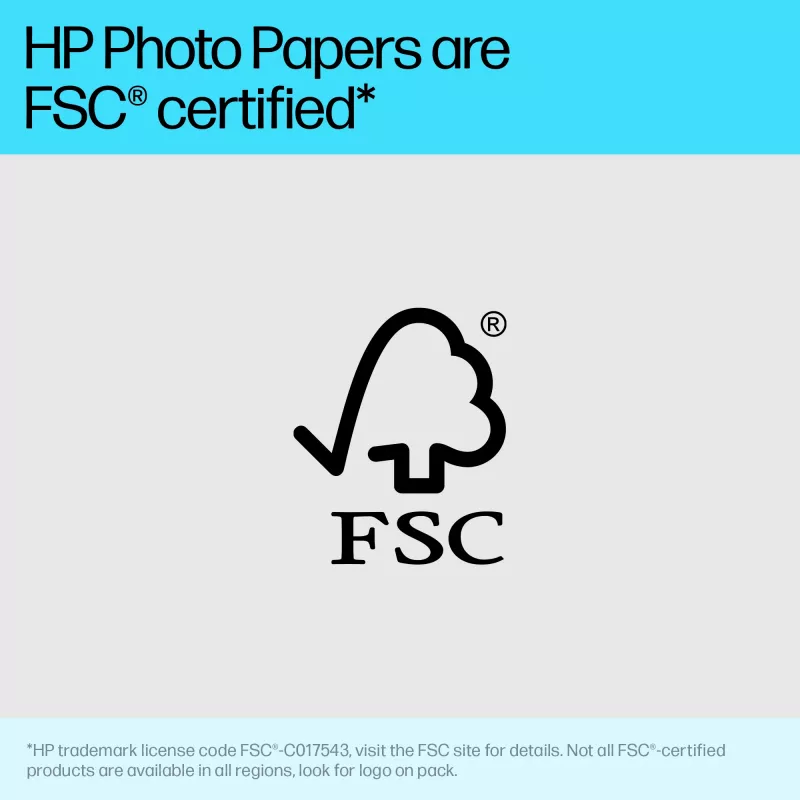 HP Advanced Photo Paper Glossy 65 lb 4 x 12 in. (101 x 305 mm) 10 Blatt