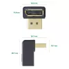 InLine DisplayPort-Adapter, DisplayPort Stecker / Buchse nach unten abgewinkelt