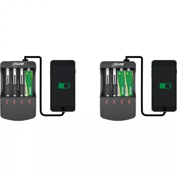 InLine Ladegerät für Lithium- und NiCd+NiMH-Akkus, 1 Stück