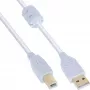 InLine USB-2.0-Kabel, Typ A Stecker / B Stecker, vergoldet, mit Ferrit, weiß, 1 m