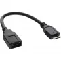 InLine Micro USB 3.0 OTG Adapterkabel Micro-B-Stecker auf USB-Typ-A-Buchse 0,15 m