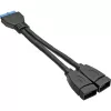 InLine USB 3.0 Adapterkabel intern 2x USB Typ A Buchse / Mainboard-Header