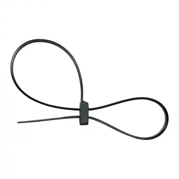 InLine montierbare Doppelkopf-Kabelbinder 300 mm x 4,8 mm, Nylon, schwarz, 100 Stück