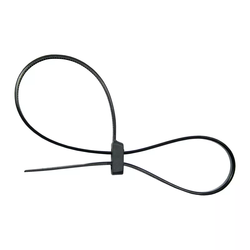 InLine montierbare Doppelkopf-Kabelbinder 300 mm x 4,8 mm, Nylon, schwarz, 100 Stück
