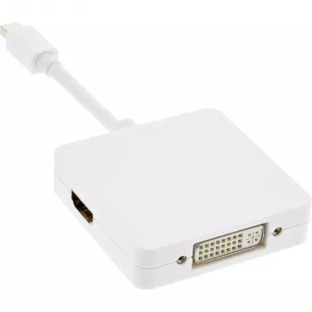 InLine Mini DisplayPort auf HDMI DVI DisplayPort Adapterkabel 17195I