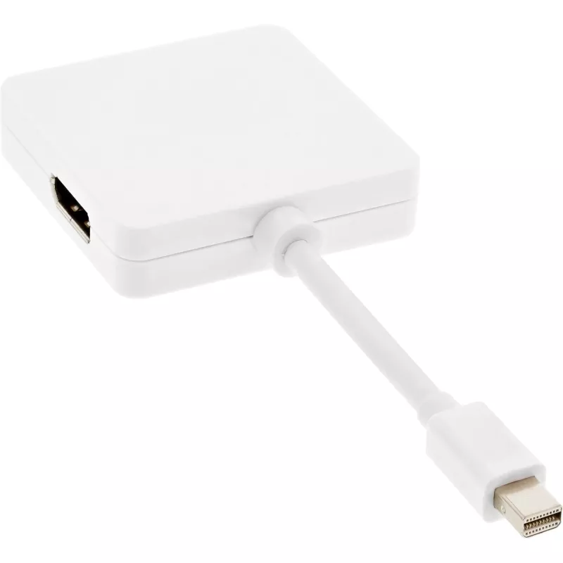 InLine Mini DisplayPort auf HDMI DVI DisplayPort Adapterkabel 17195I