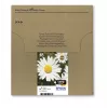 Cartridge Epson T1806 Easy Mail Packaging Schwarz Gelb Cyan Magenta
