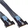 InLine 27661B Serial Attached SCSI (SAS) Kabel 0,75 m 24 Gbit/s Schwarz, Blau, Grau